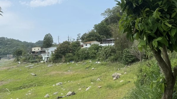 20240429 桃園復興枕頭山薑母島2492296