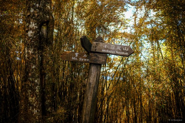 [冬訪大霸聖山岳參行]-榮耀桂冠B'bu' Papak聖稜精選輯2974782