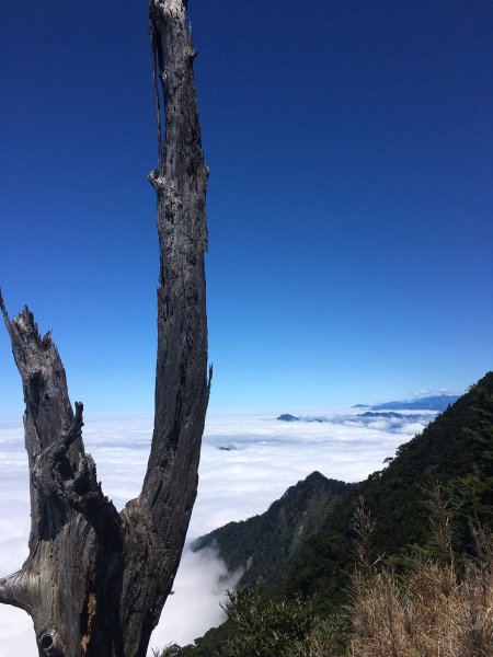 雲海的故鄉-北大武山1177979