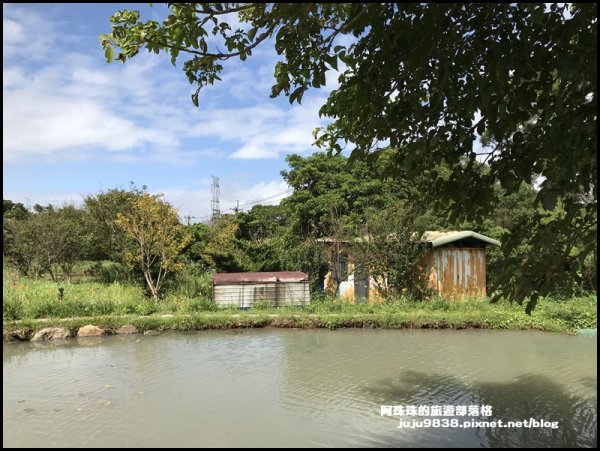 新北。三芝田心子水中央｜金針花+水中落羽1146416