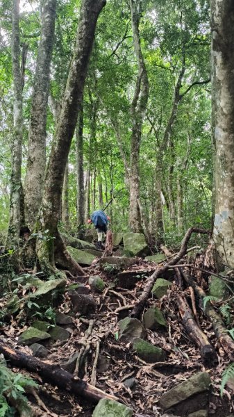 大混李棟重訓2883608