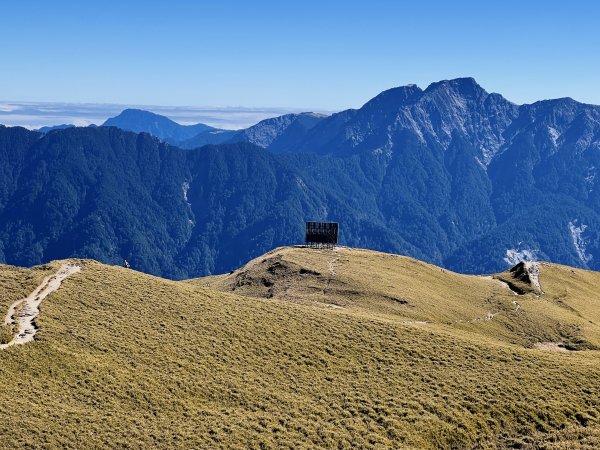 合歡山風景 2024/1/17-182417590