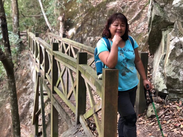 八仙山國家森林遊樂區527119