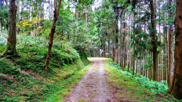 油羅山(一上三下)2959189