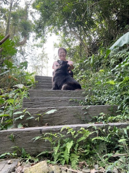 後棟仔山、挑筍古道、大尖山2920265