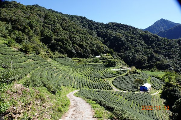 南投 仁愛 再生山(安達山)1913652