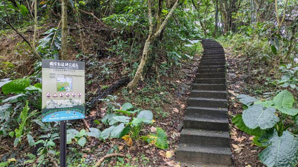南港四分溪,三重埔埤濕地復育,大坑溪2502955