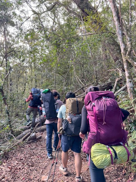 2025.11.30 西巒大山2952293