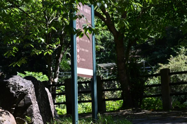 2025_0628 溪瀧步道2824977