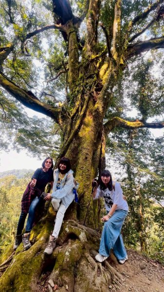 🌈3/21（六）頂湖上大凍山下奮起湖老街✨FB：熊熊趴爬走🌈3020188