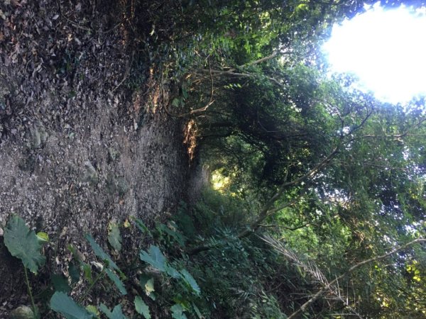 枕頭山o、火山碧雲寺、水火同源2390217