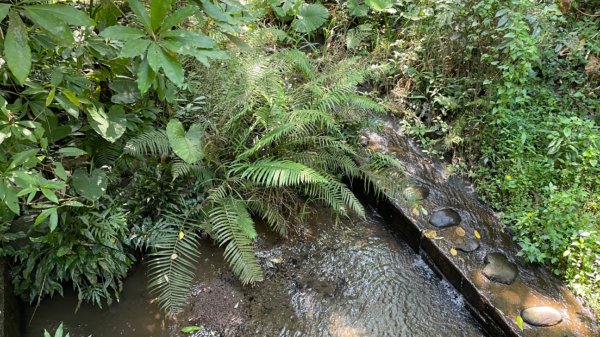 挑水壢古道2605769