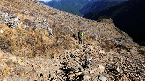 雪山黑森林直上甘木林山登雪主雪南過志佳陽下馬武霸兩日C型2758152