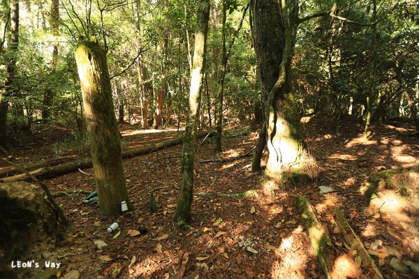 北坑溪古道‧神崎到高嶺(結城)段1208161