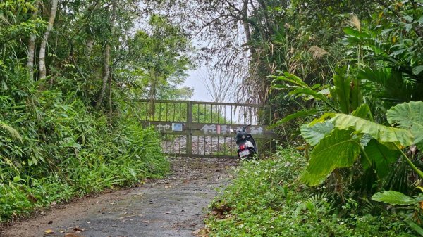 20260328赤玉o型3029883