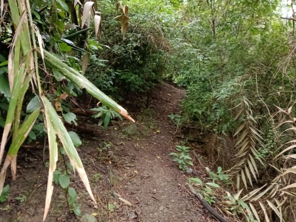 頭城鎮石城車站+隆嶺越嶺古道+隆嶺溪畔古道+福隆車站3002265