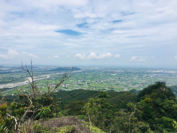 1090611火炎山相思樹花大開992643