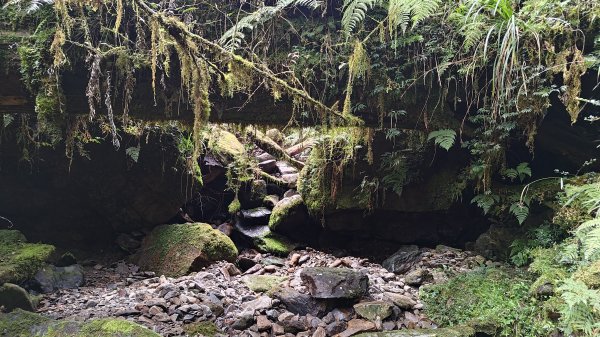 棲松縱走未竟2918405