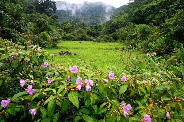 淡蘭古道中路O型988532