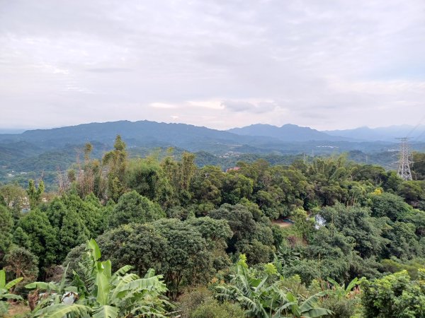 【台中北屯】台中大坑九號步道2933018