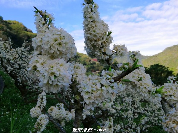 手腳並用之虎山行。 水雲三星~虎山步道1300671