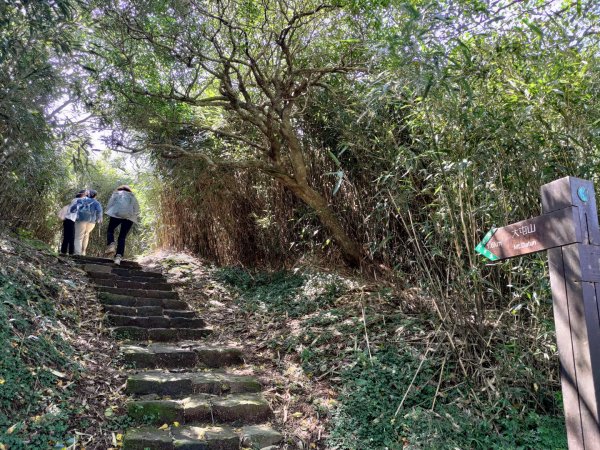 臺北大縱走第2段(大屯山鞍部停車場→面天坪涼亭)2349993