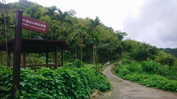 階梯多到不行又濕滑的大湖尖山1733721