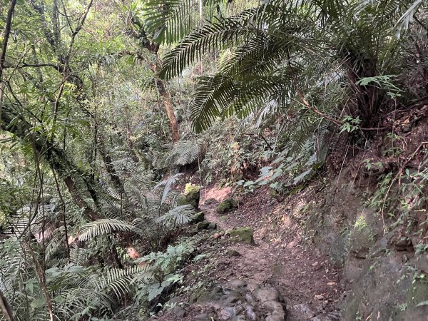 [皮皮獅探險隊-01/10] 2025_0706 六寮古道2830740