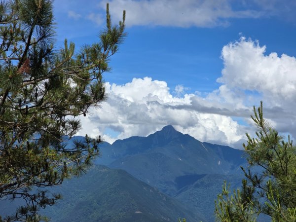 志佳陽大山（回程走高繞環山獵人登山步道）2542175