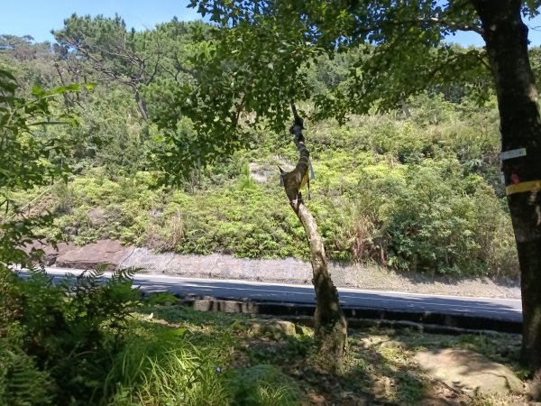 汐止區火燒坪山+車坪寮崙+五指山前峰O型2857921