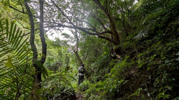 114.06.08門牙岩之O型2806626