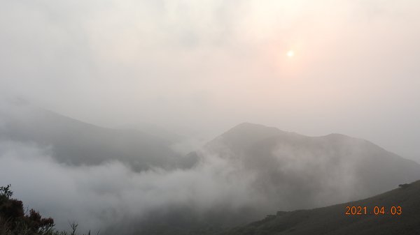 0403仙境般雲霧飄渺，陽明山再見雲海&夕陽，觀音圈雲瀑若隱乍現1331570