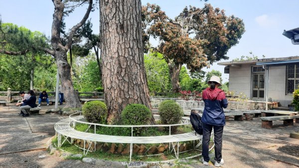 《台中》悠然雅緻｜后里毘盧禪寺小O精華步道202504042752315