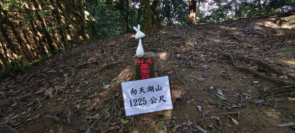 2025/12/06-光高天+南大龜+向天湖+三角湖山2957694