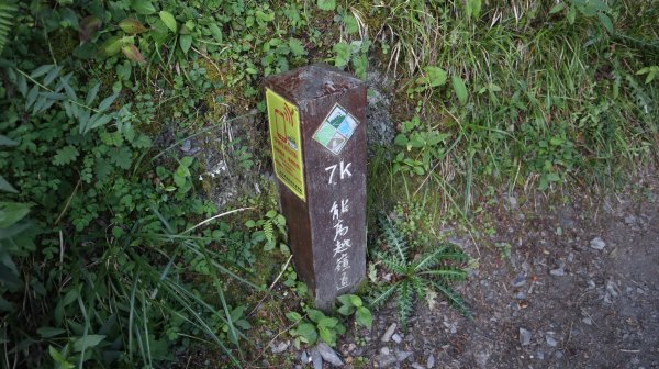 奇萊南華登山健行趣(百岳41號＆75號)1840239