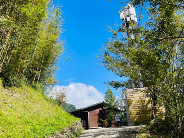 1140824司馬庫斯觀霸步道-賞楓步道2871099