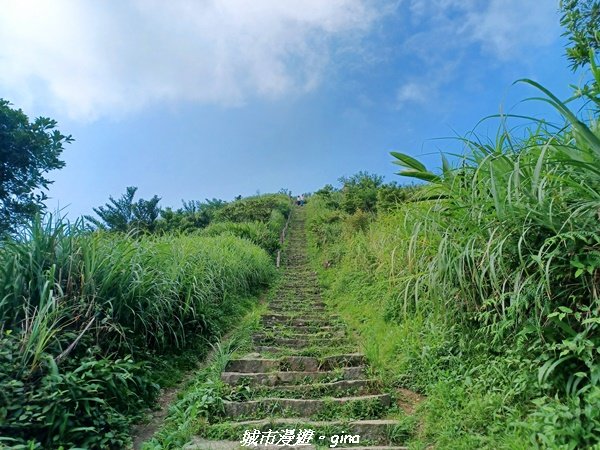 【新北瑞芳】黃金山城好展望。 小百岳基隆山x九份老街2847162