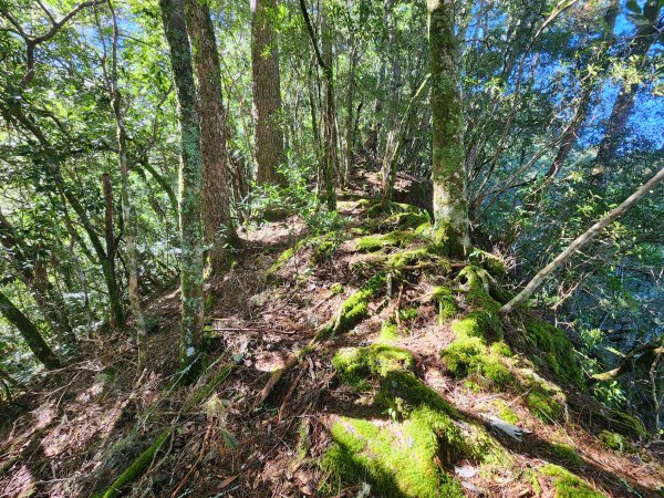 20241124布奴加里山2679122