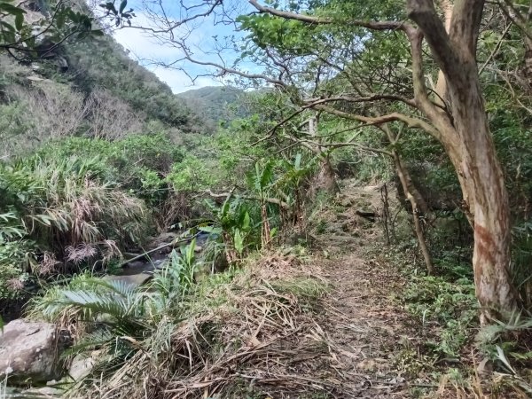 貢寮區龍洞坑古道+苦苓嶺+南雅山+海園古道O型2954606