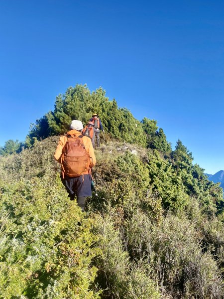 奇萊東稜翻山越嶺的淚與笑D4 2022/10/2—太魯閣北鞍營地至最低鞍營地1870790