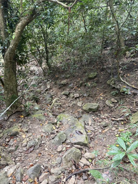 20251108白雲山步道2935189