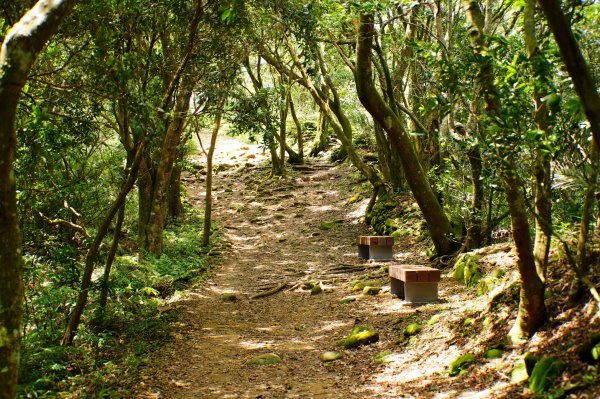 新竹 芎林 飛鳳山、中坑山、石壁潭山3050439