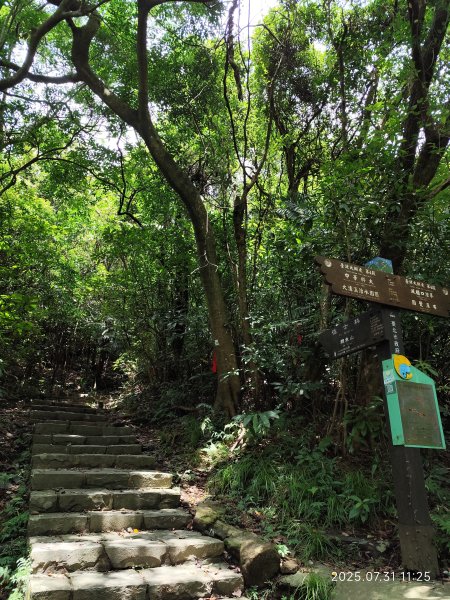 圓覺寺步道→新福本坑→碧湖步道→碧山公園→國立臺灣戲曲學院→碧湖公園→大港墘公園【臺北健走趣】2849242