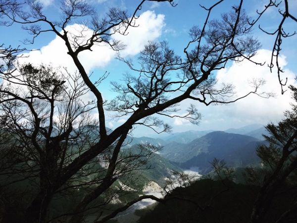 太平山山毛櫸步道207141