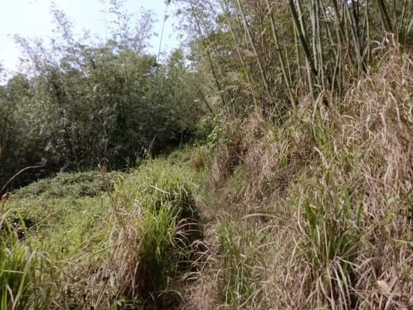 寶山鄉寶山水庫(寶山東峰+中峰+中西峰+西峰+西北峰)+尖山O型3012552