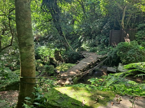 20230911淡蘭古道中段：五分山步道-暖東舊道2446829