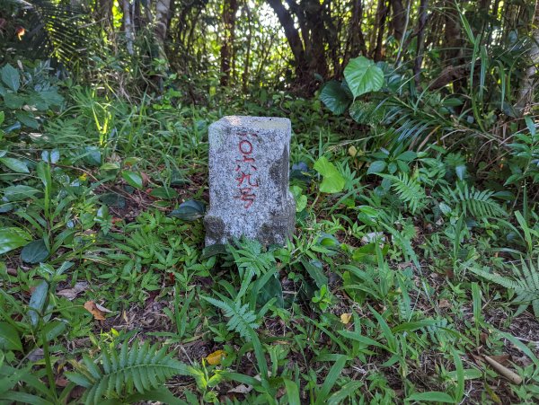 《蘭嶼》小天池、燈塔。鰭尾山。虎頭坡/饅頭山。拼板舟1736449