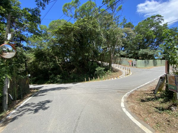 2025微笑山線大縱走尋寶集章任務-Ep.02【大棟山系】百年大榕樹2884762