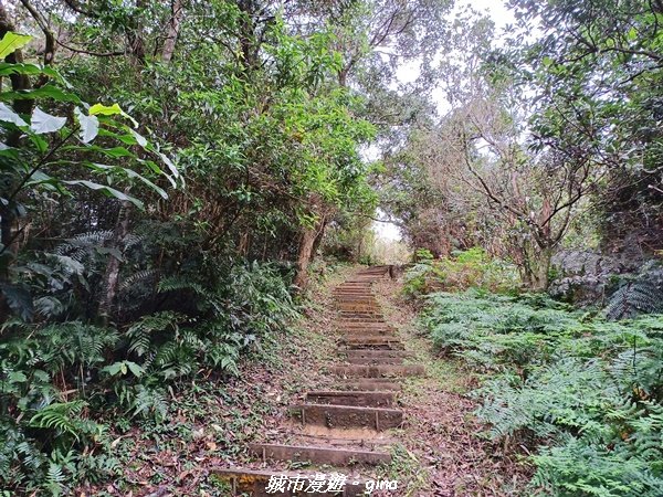 【新北。深坑】親民山徑。 小百岳集起來。 編號14小百岳~土庫岳1594157