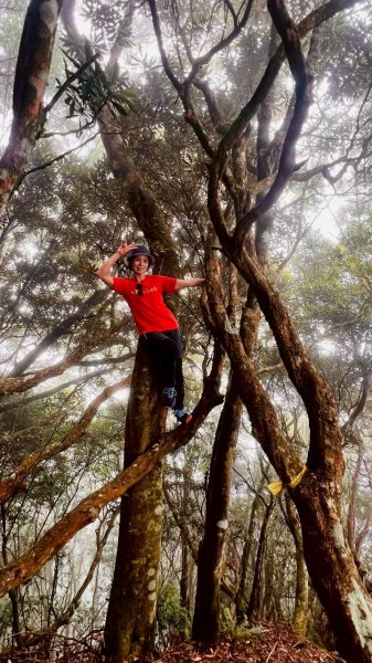 🌈9/7（日）夫拉縱走（夫婦山縱走拉拉山）✨FB：熊熊趴爬走🌈2880919